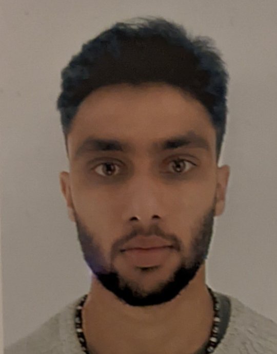 Khan Hamza - Inglese, Matematica, Scienza , Informatica tutor