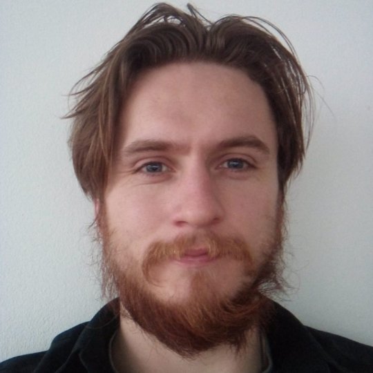 Harrison Liam - Inglese, Spagnolo tutor