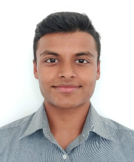 Praveen - Matematica, Biologia, Chimica tutor