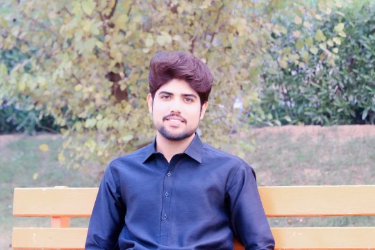 Rizwan Mohammad - Biologia, Chimica, Inglese tutor