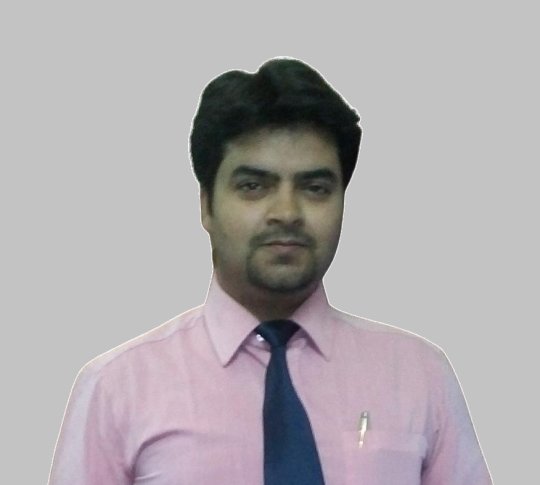 Chauhan Alok - Programmazione informatica, Informatica tutor