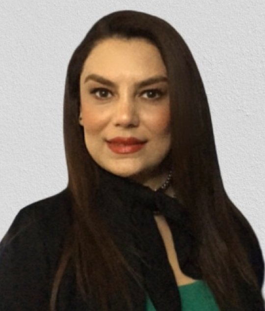 Behroozi Anoosheh - Inglese tutor