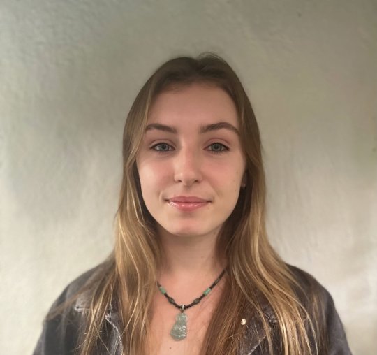 Knox Phoenix - Inglese, Matematica tutor