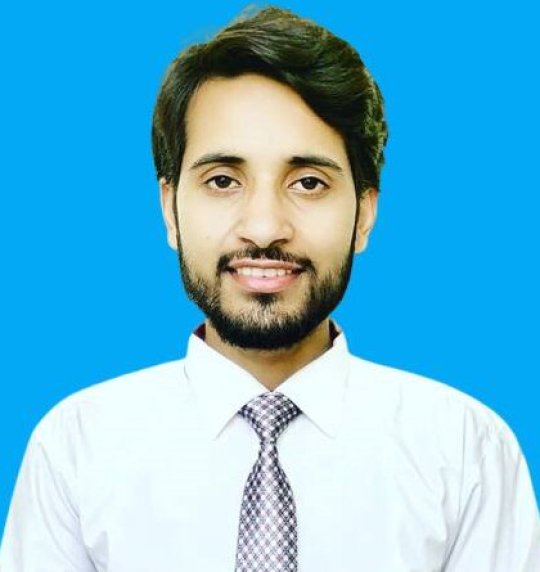 Raza Ali - Matematica, Inglese, Fisica tutor