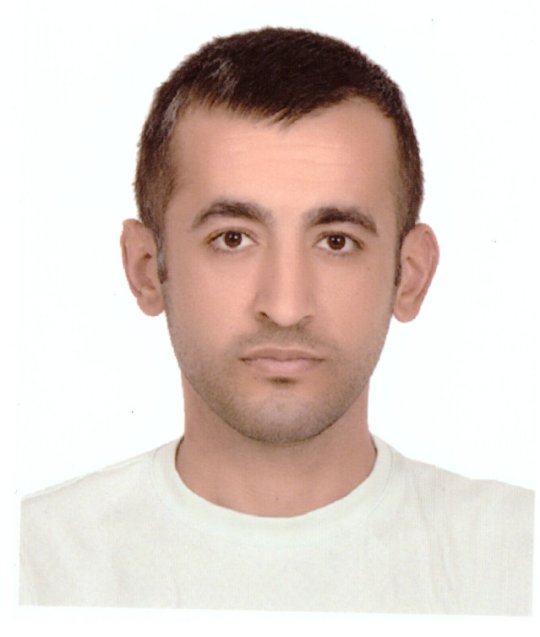 Ozturk Demhar - Inglese, Arte tutor