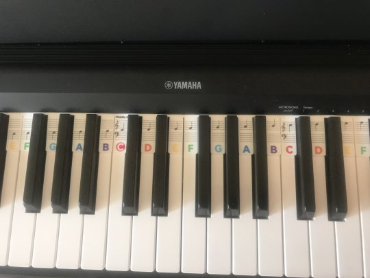 brown Millie - Pianoforte, Teoria musicale tutor