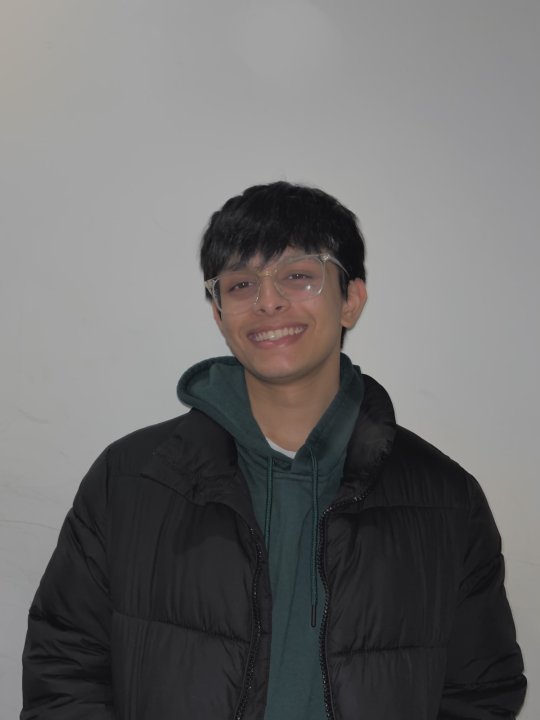 Aaryan - Matematica, Inglese, Fisica tutor